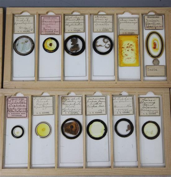 Two cases of late 19th/early 20th century microscope slides,